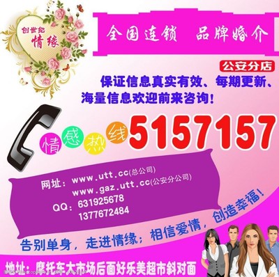 婚介平臺智能化 計算機(jī)軟件的技術(shù)開發(fā)與銷售新機(jī)遇